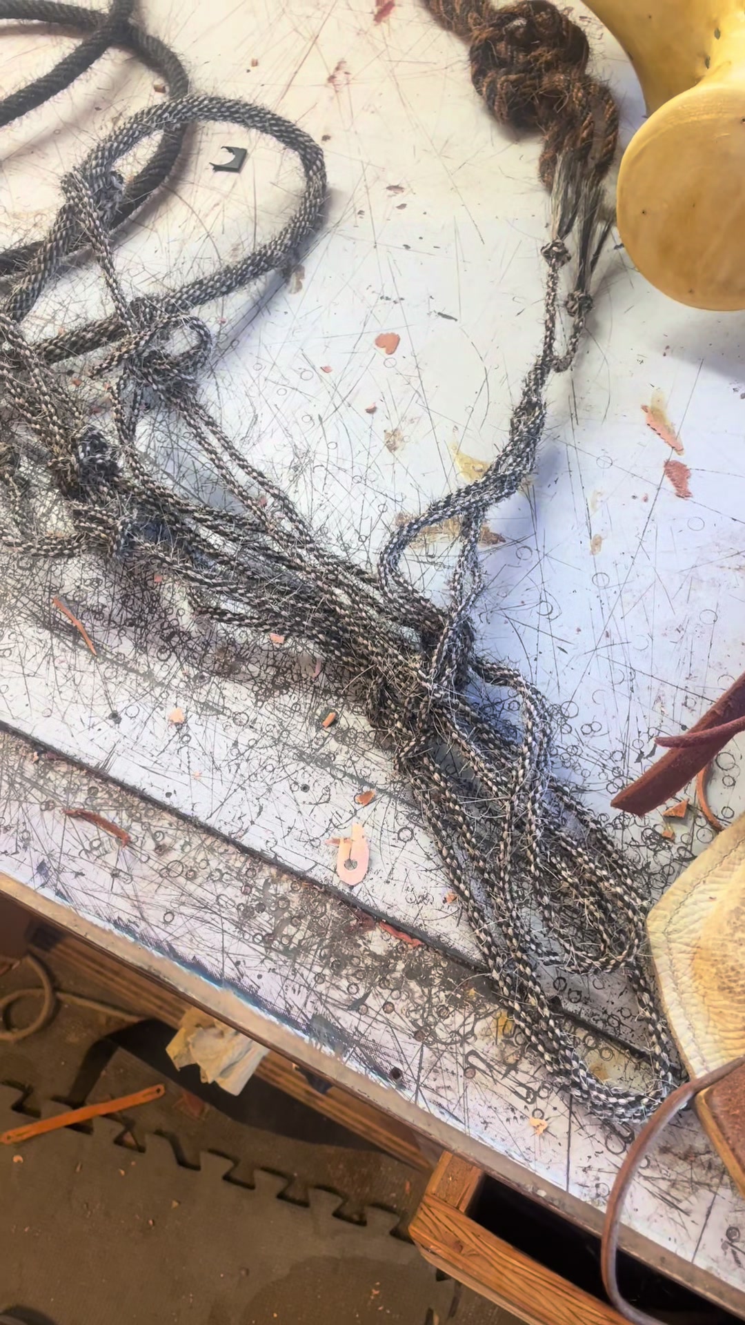 @JGullion.bits