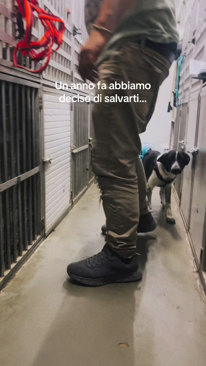 @Bennichi