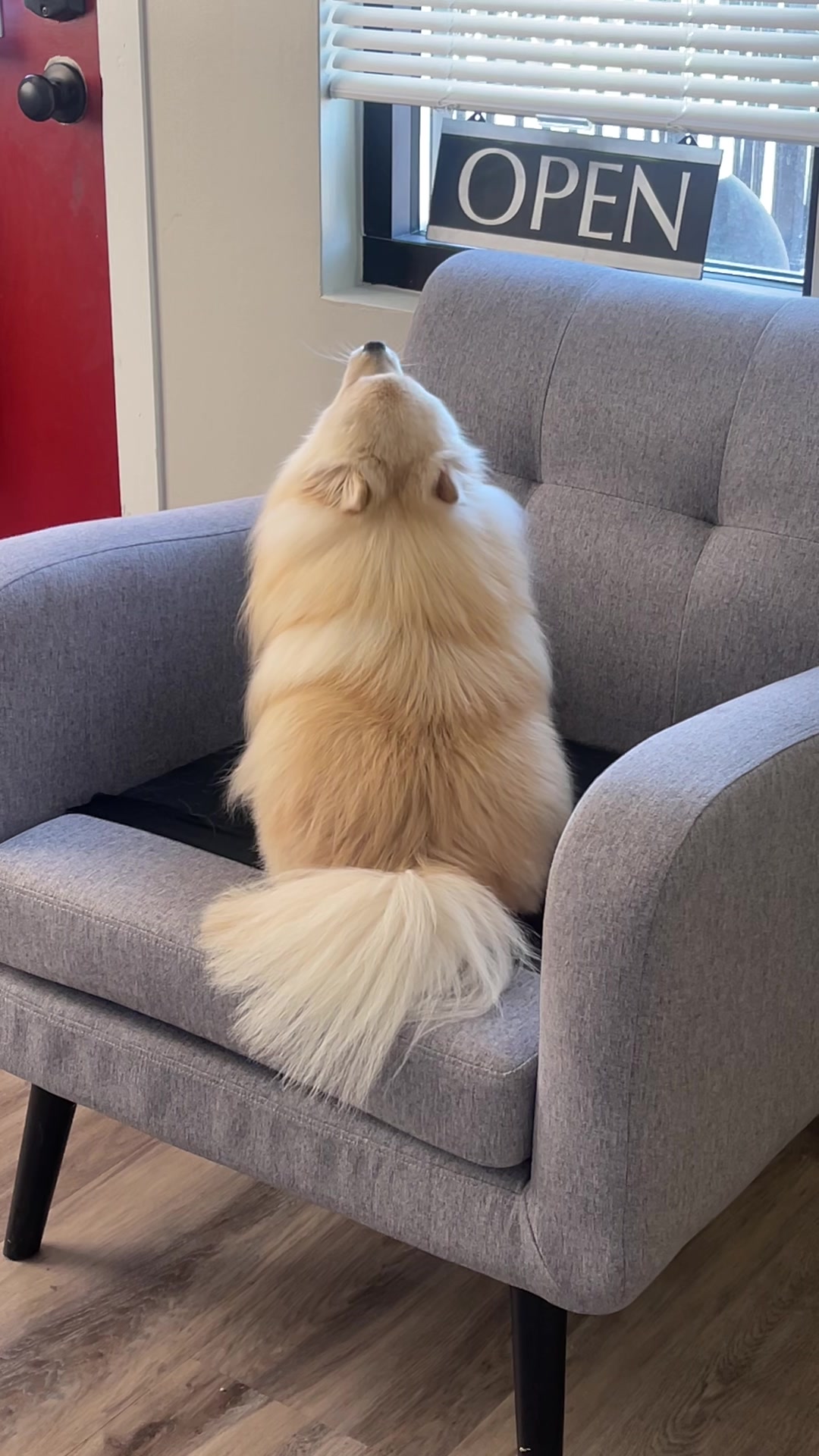 @beingmilothepom