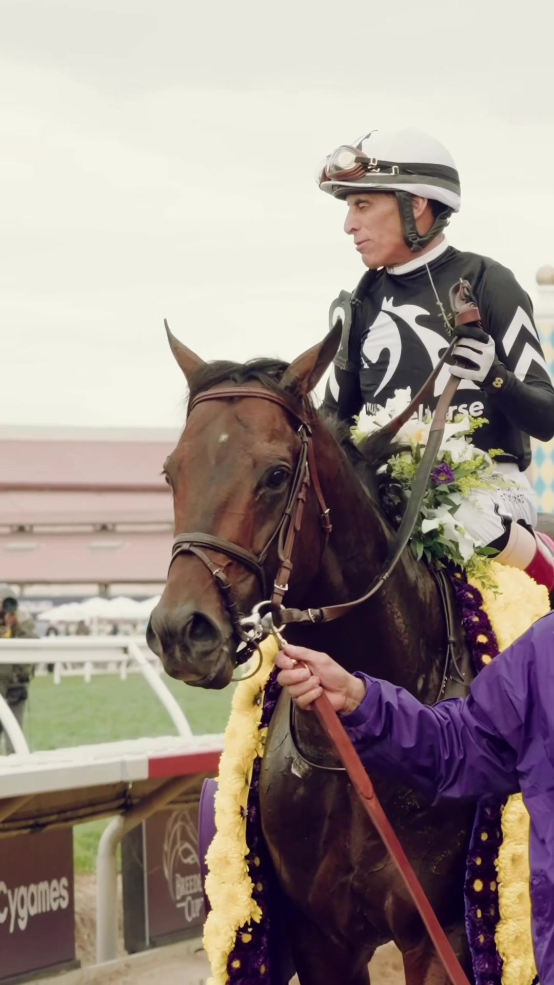 @Breeders&rsquo; Cup