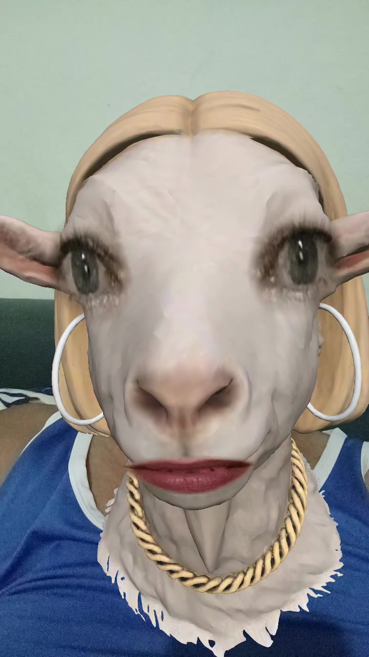 @user41437183877