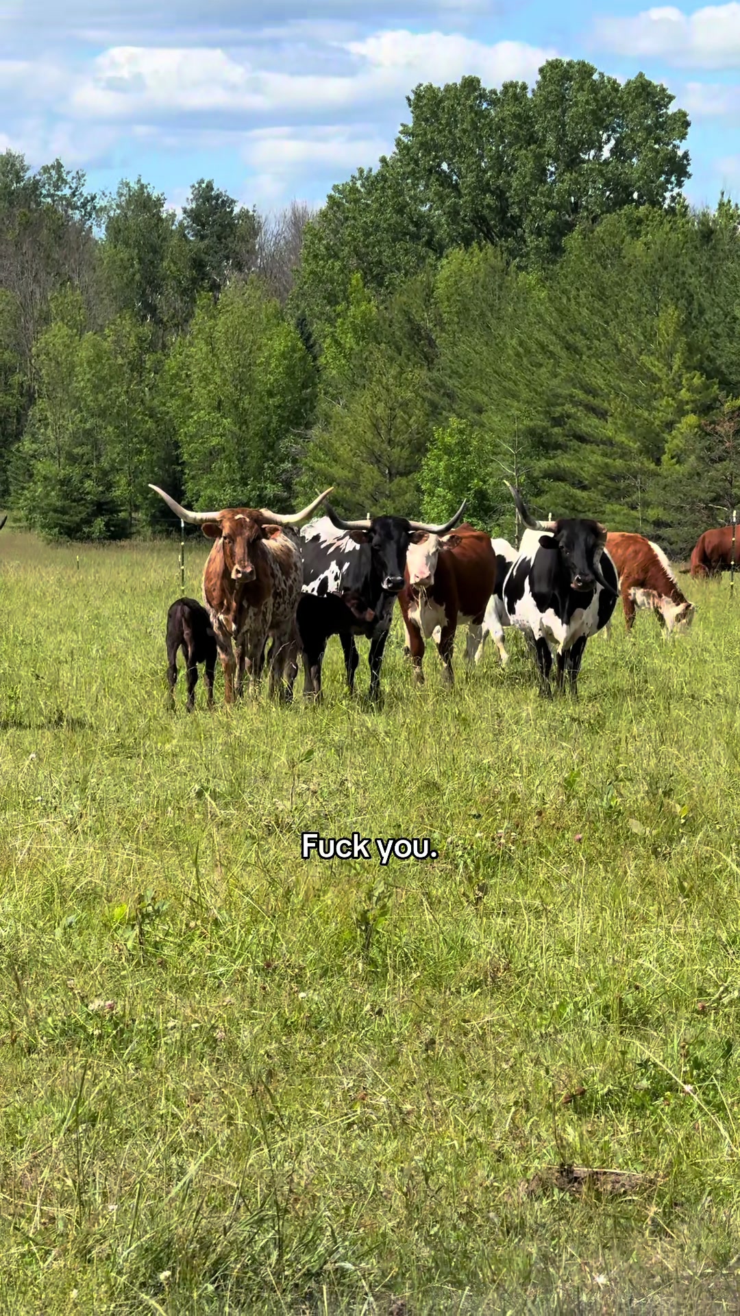 @Fuck you
