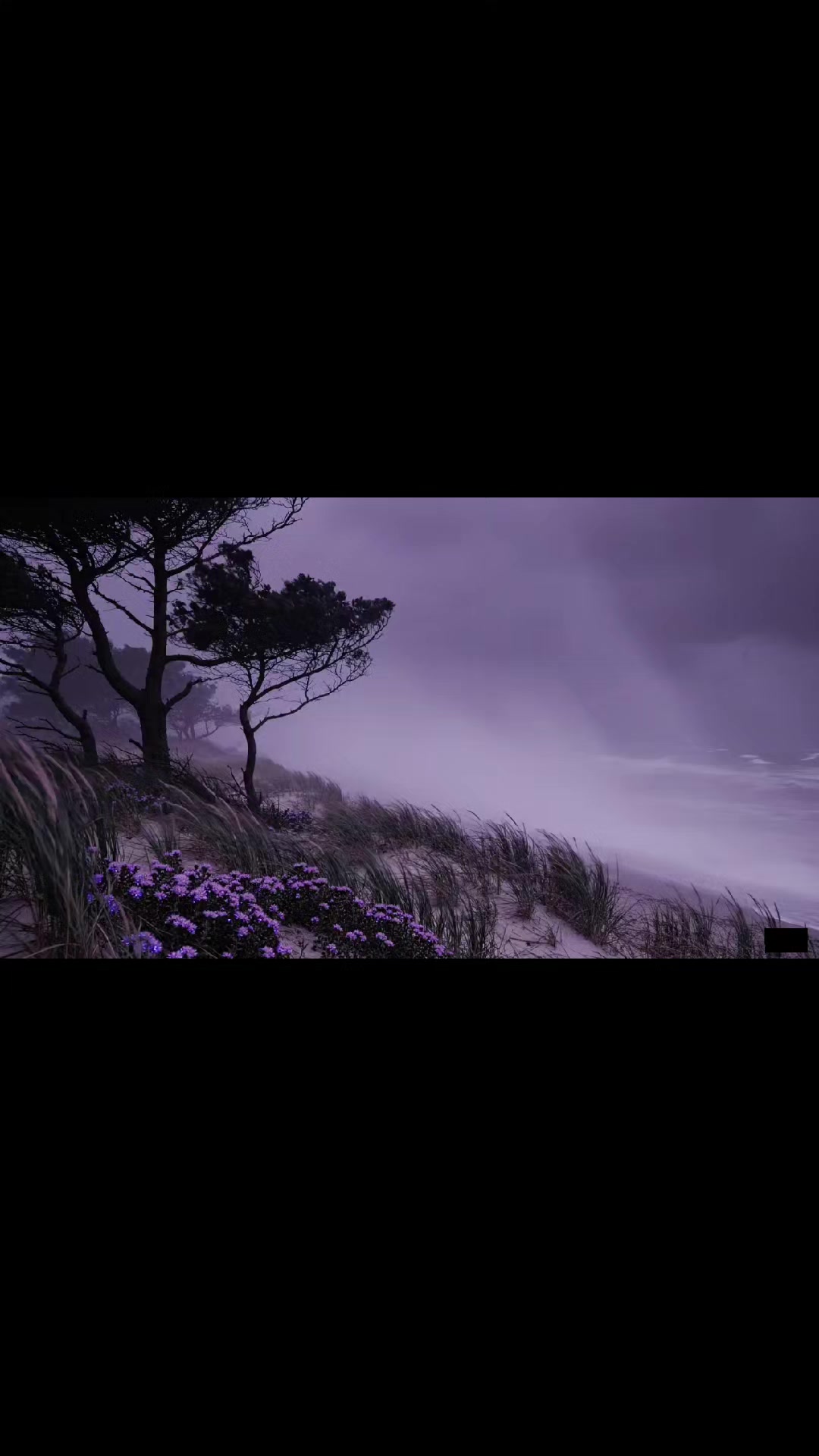 @pmghxst