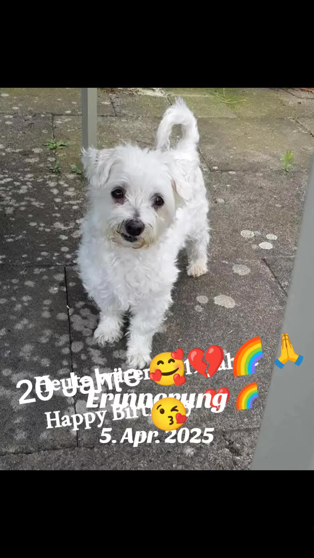 @kruemmelchen 26