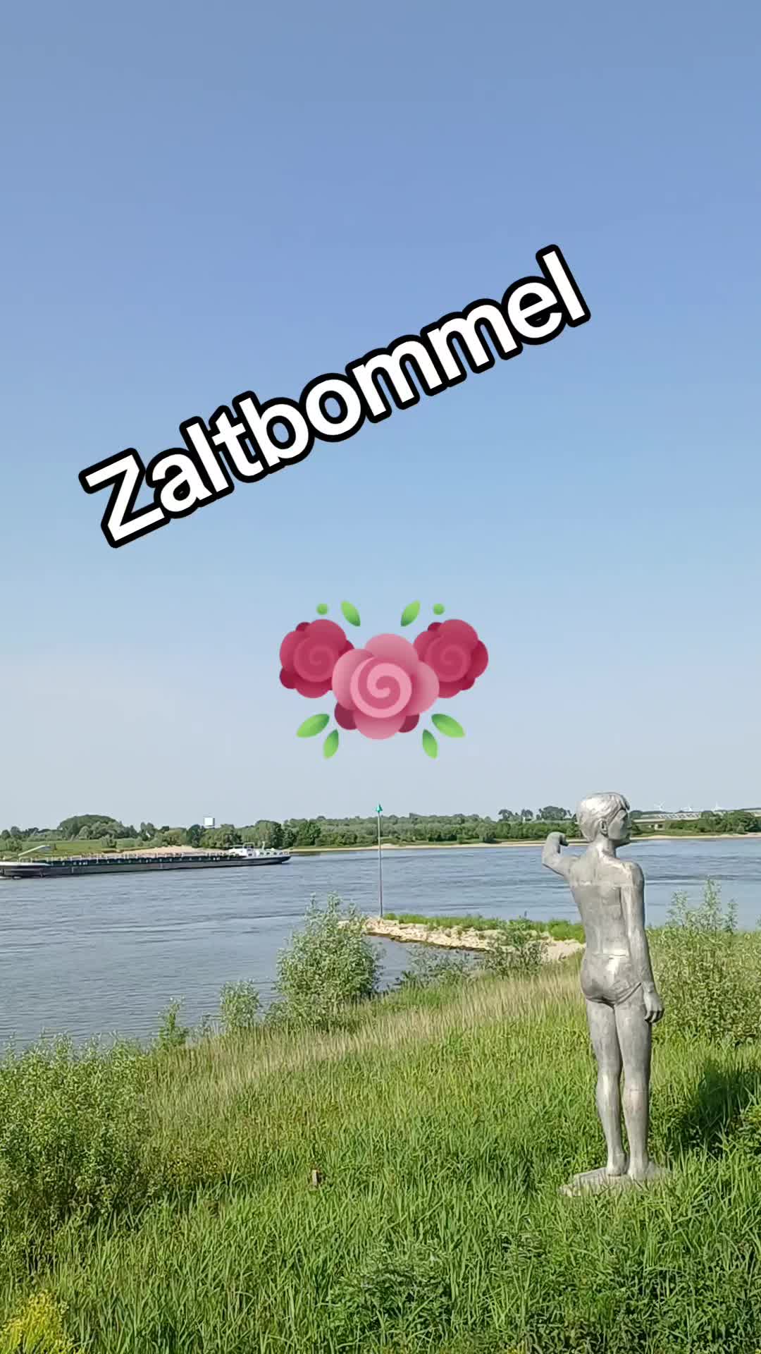 @sonja