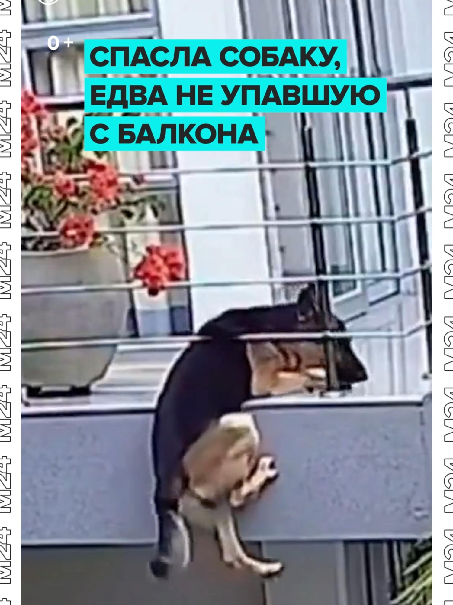 @Москва 24