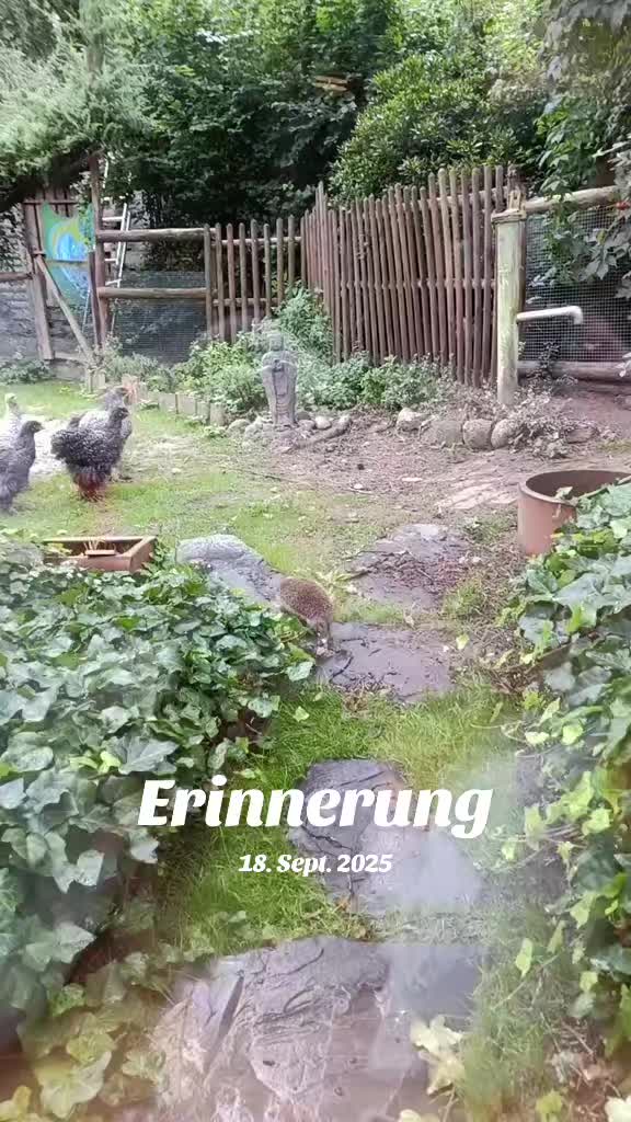 @DieSelbstvOrsorger