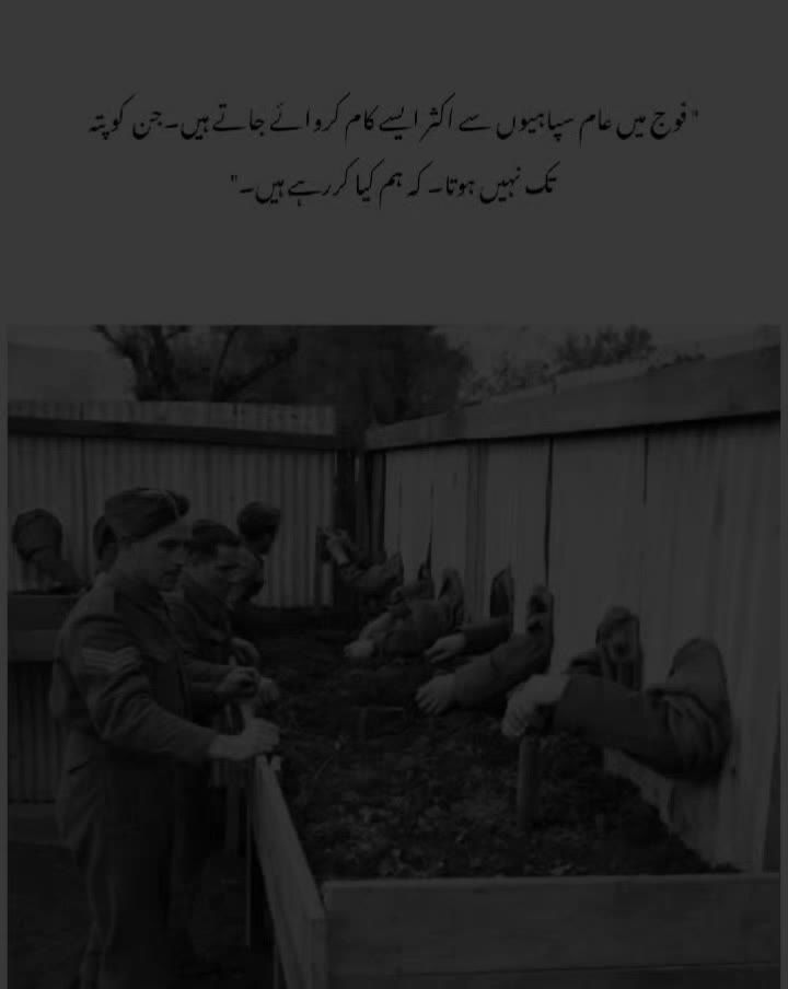 @قیدی نمبر 804
