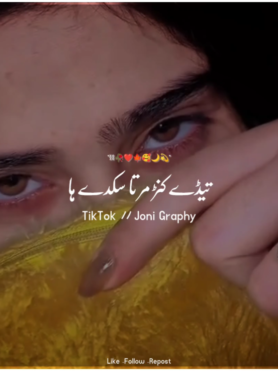 @°جونـــــی٘𓇢𓆸