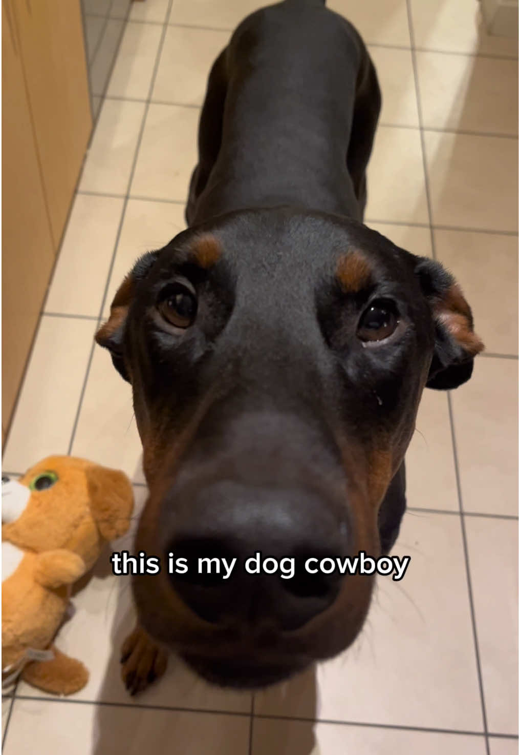 @Cowboy