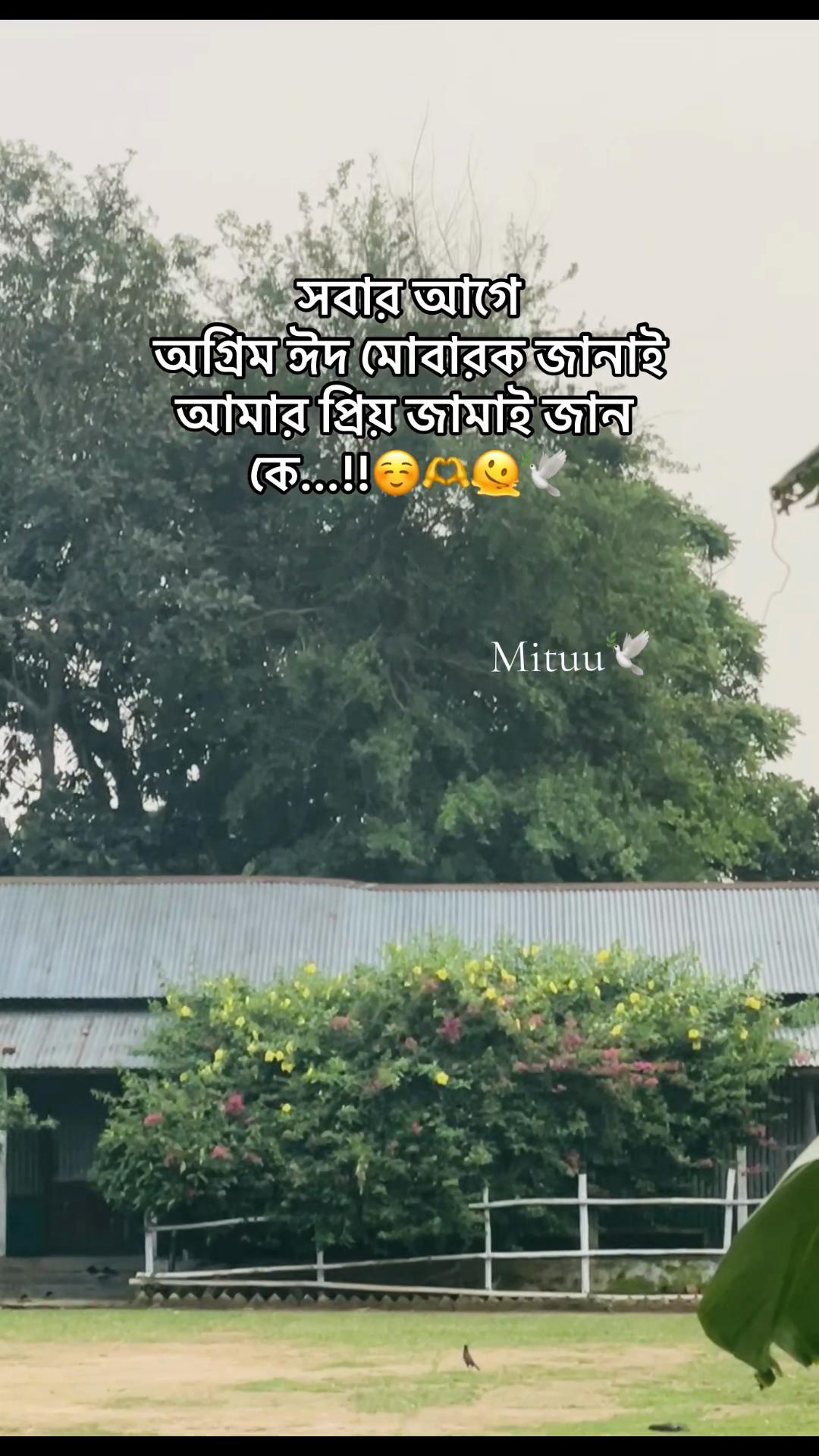 @Mituuđī¸đ