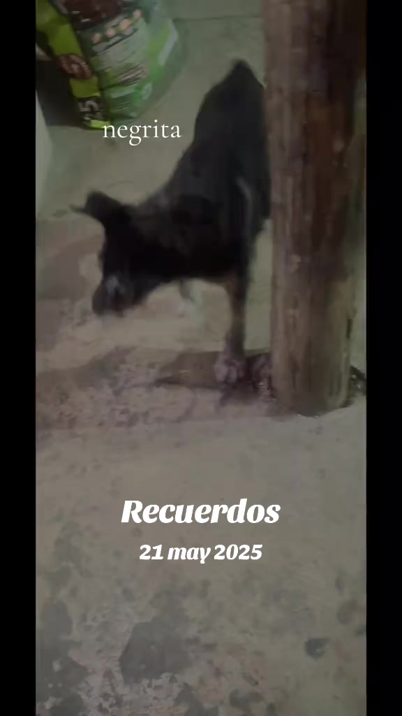 @Alejandra M