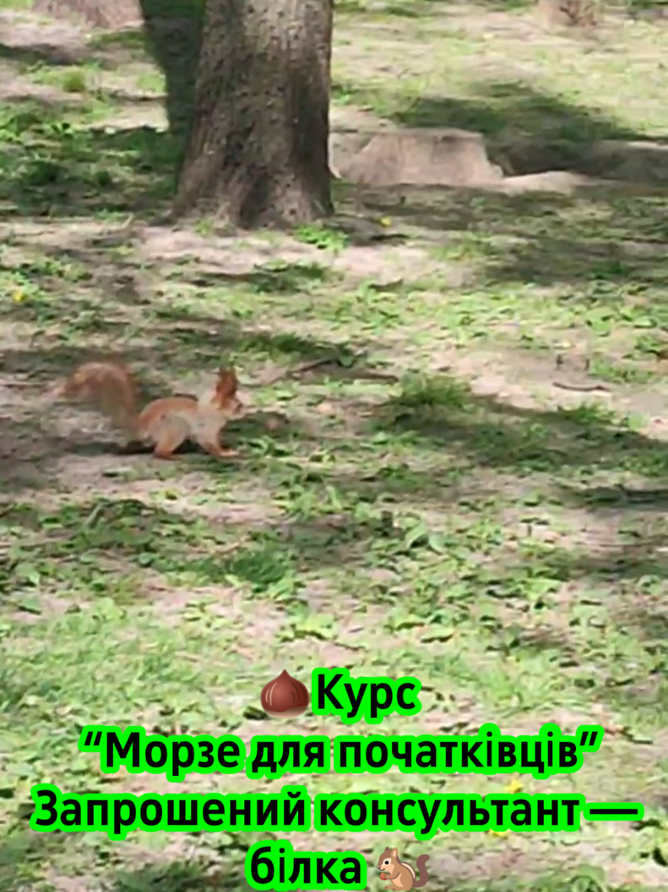 @Іліас
