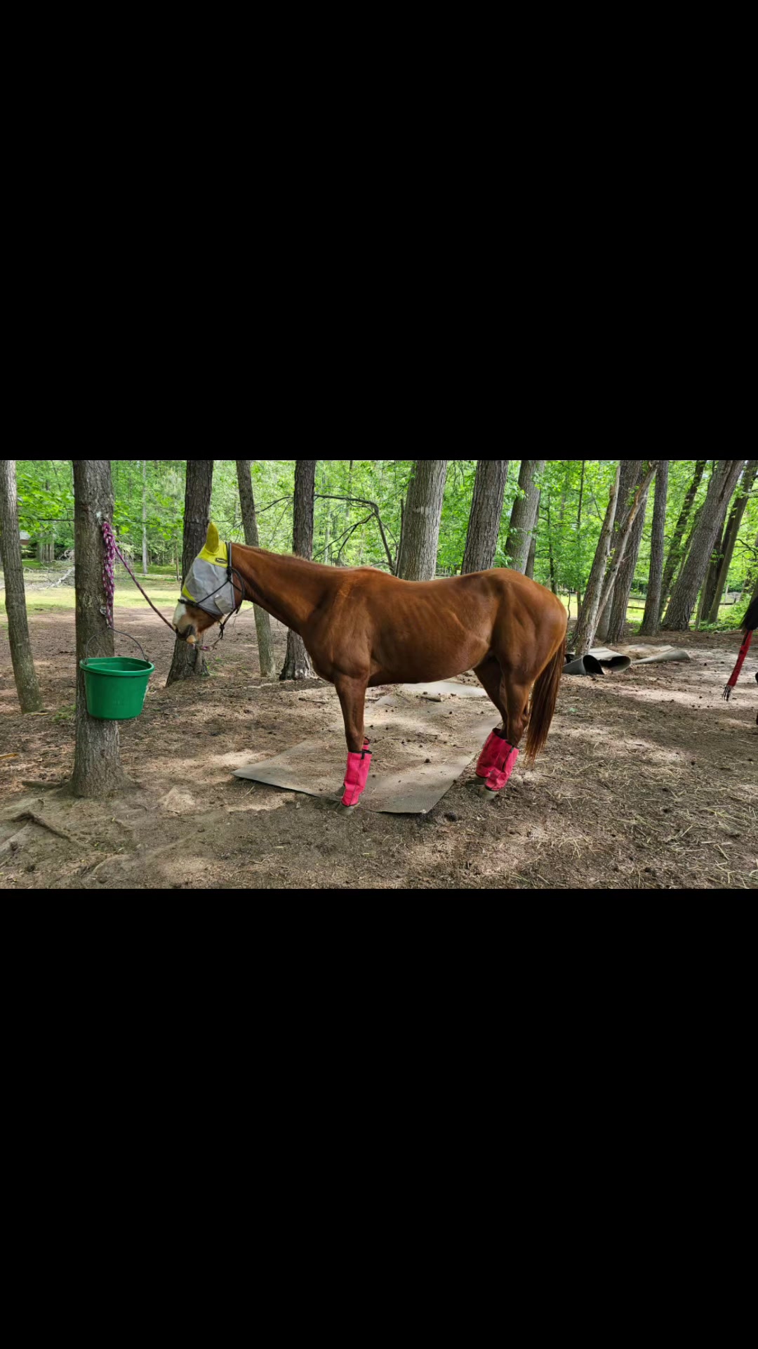 @southerncowgirl