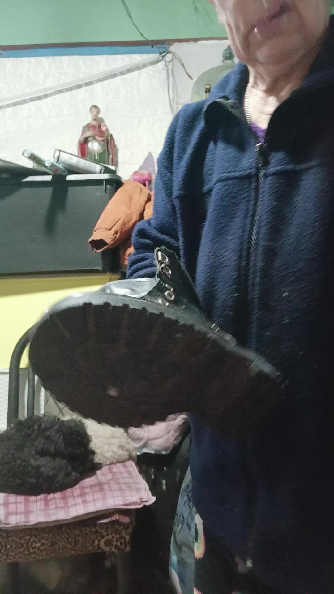 @nelidapuente1