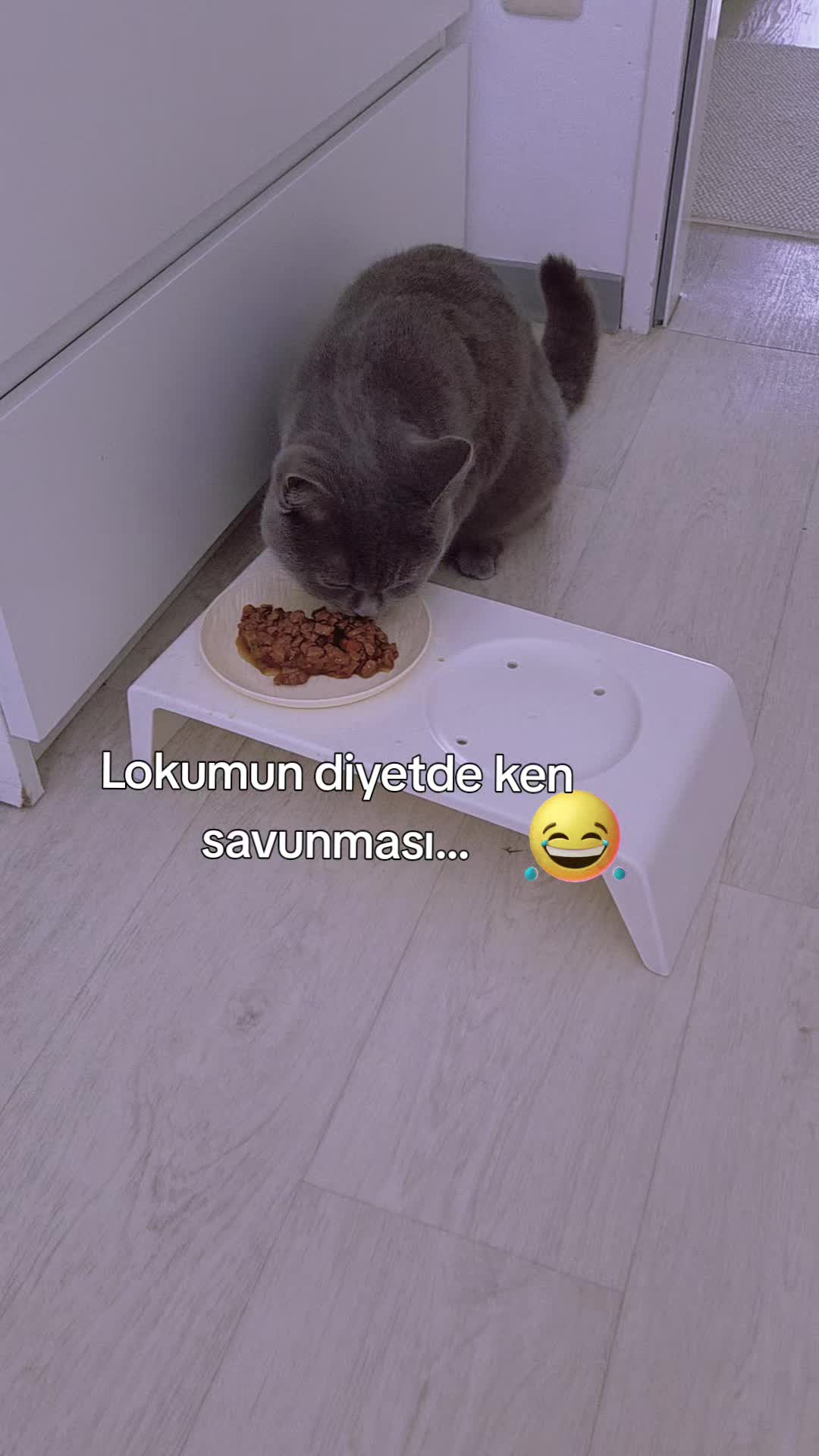 @1Anne ❤️ 1Lokum ❤️