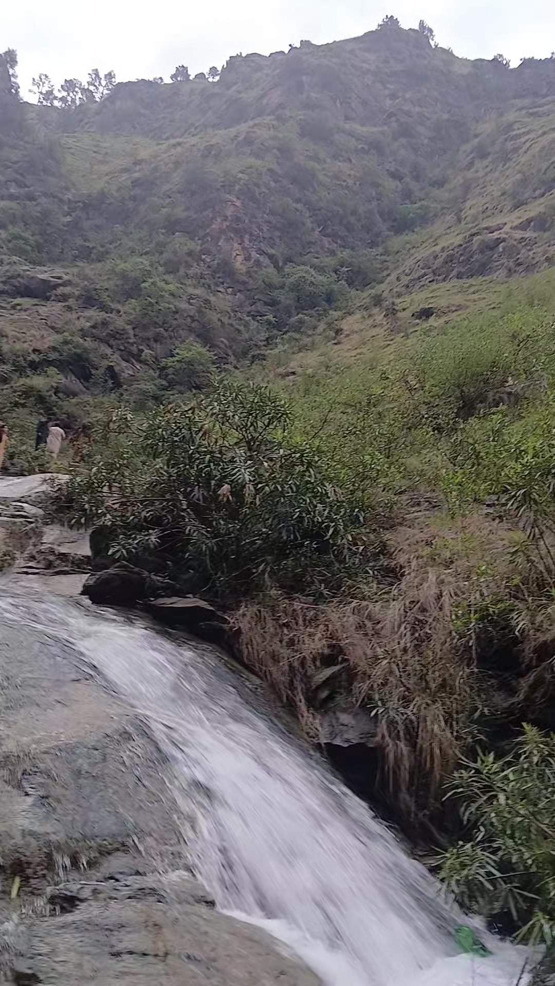 @🌲 sange_marjan ⛰️