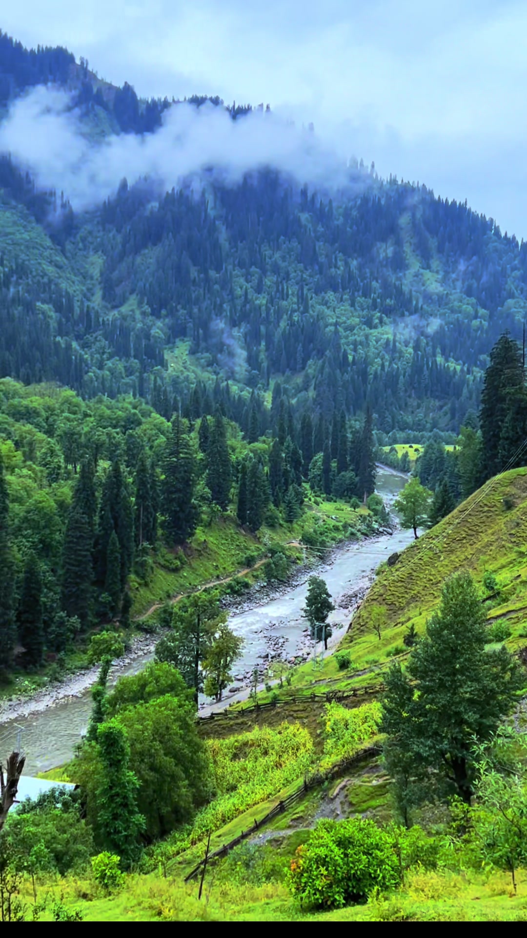 @pakistan_____beauty