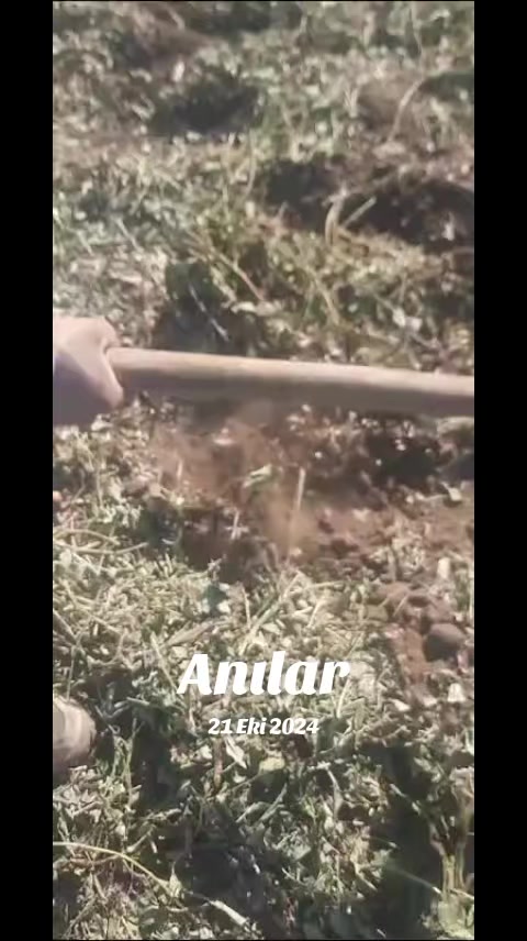@hanım💐ağa🌹46