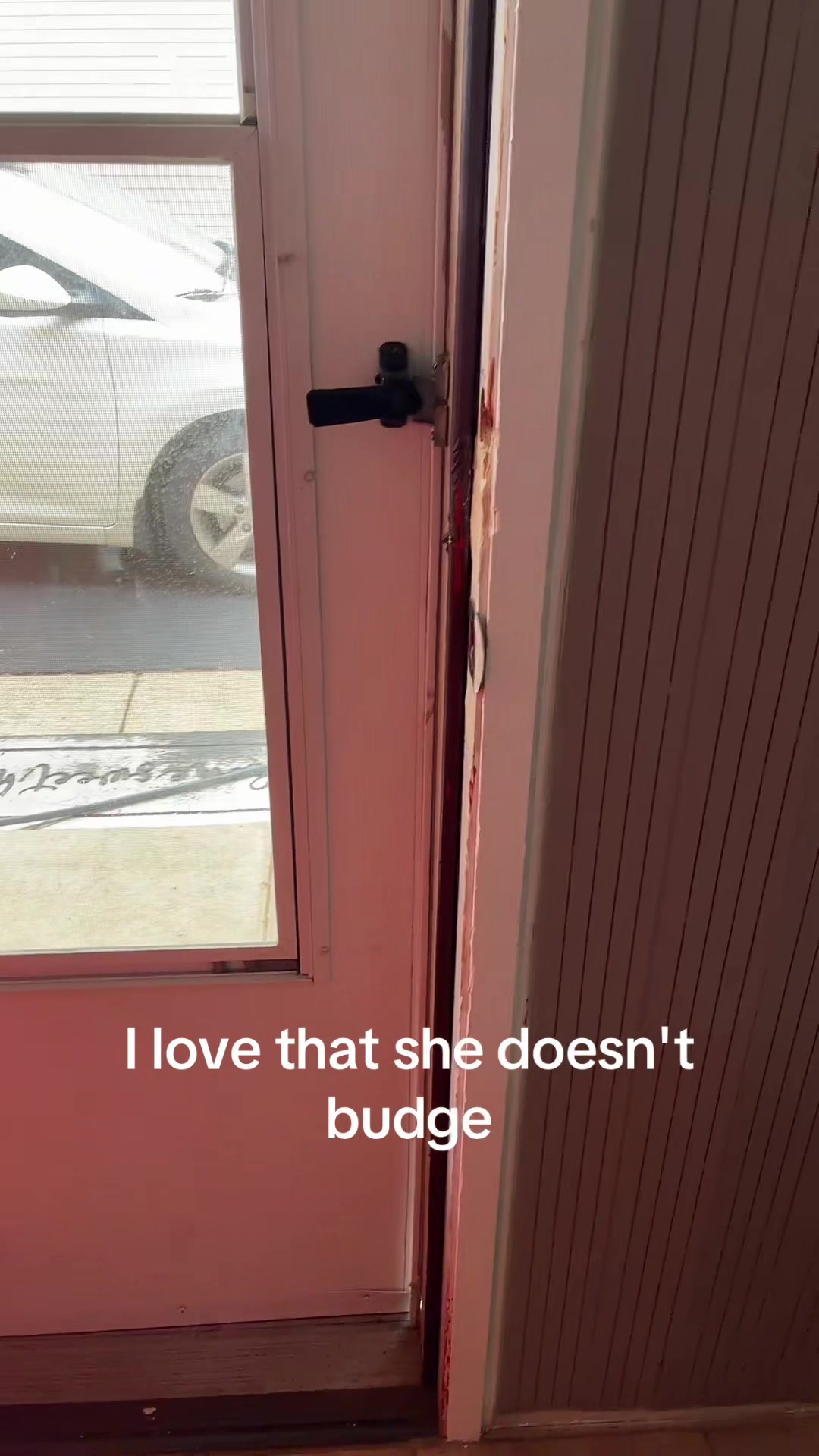 @Jessicas_pov