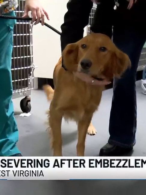 @WSAZNEWS
