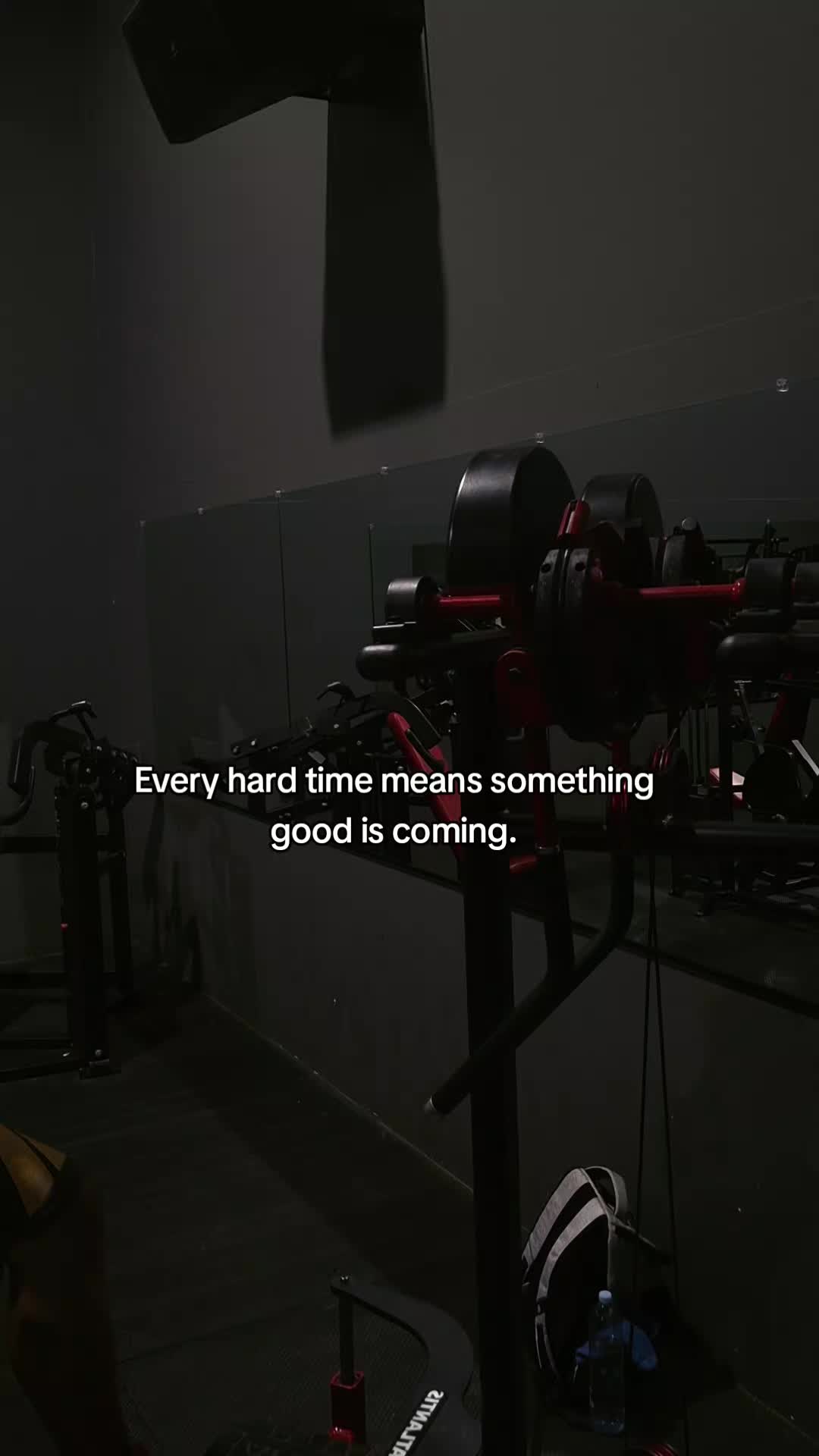 @yogi
