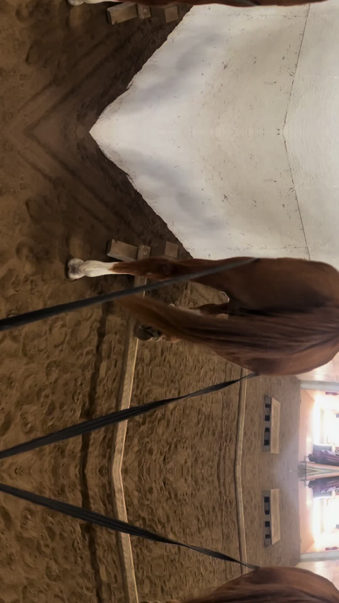 @Spirithorsecentermn