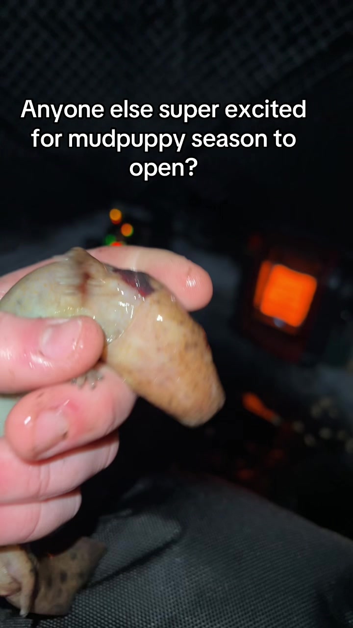 @Hammillfishing