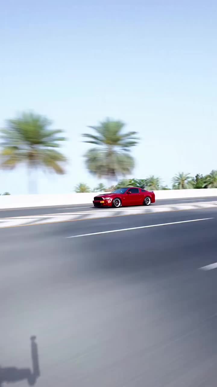 @TopTierMustang
