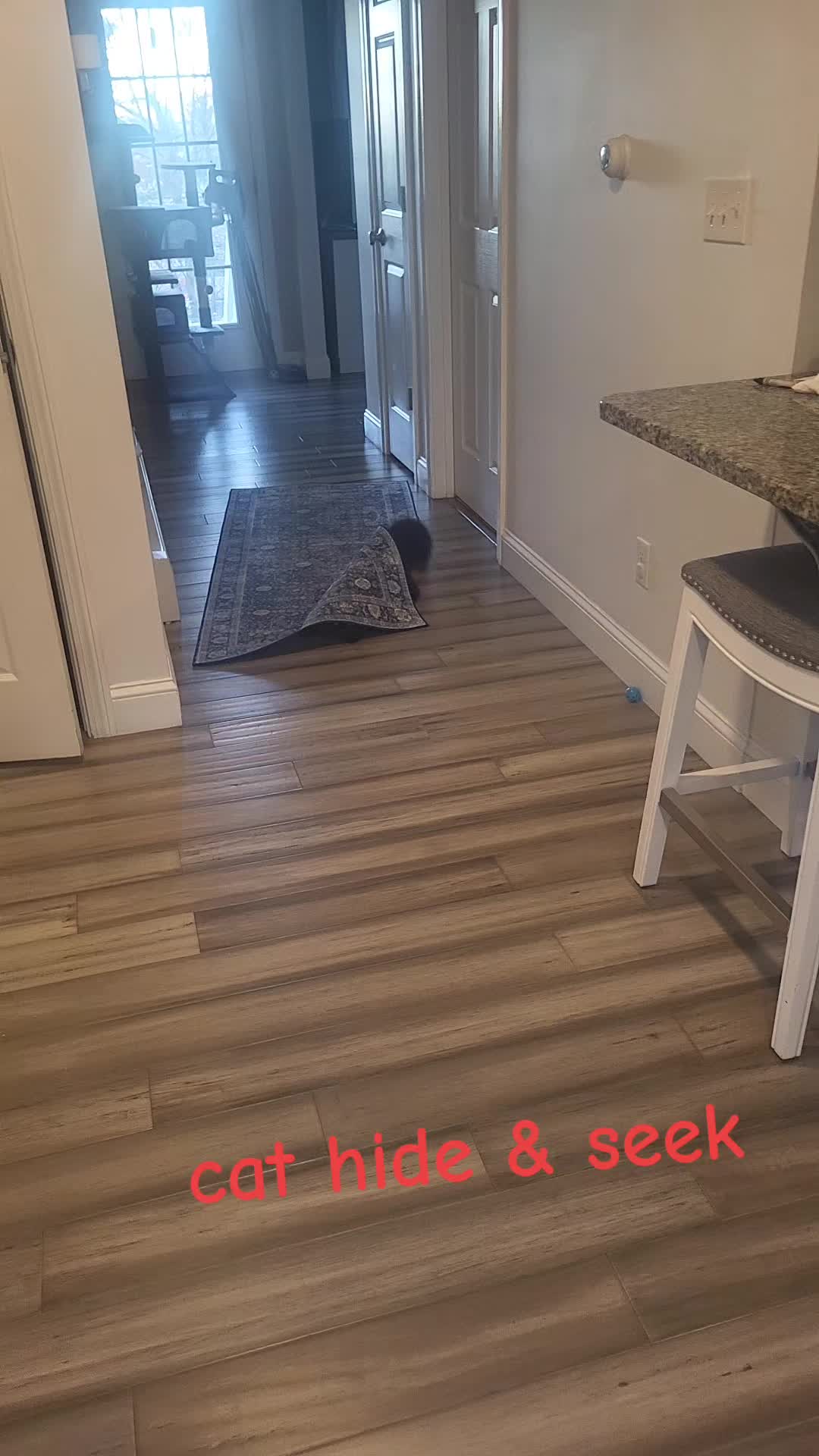 @Krystal Lea & Luna