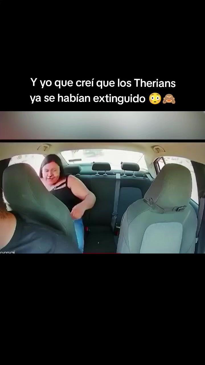 @Bottybo2.