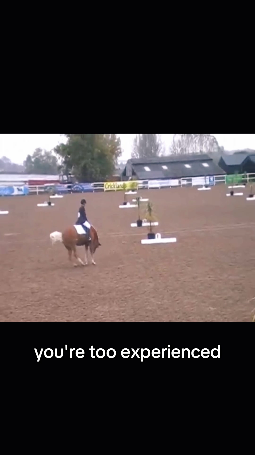 @team orange