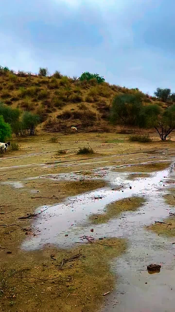 @ابوبکر🌸
