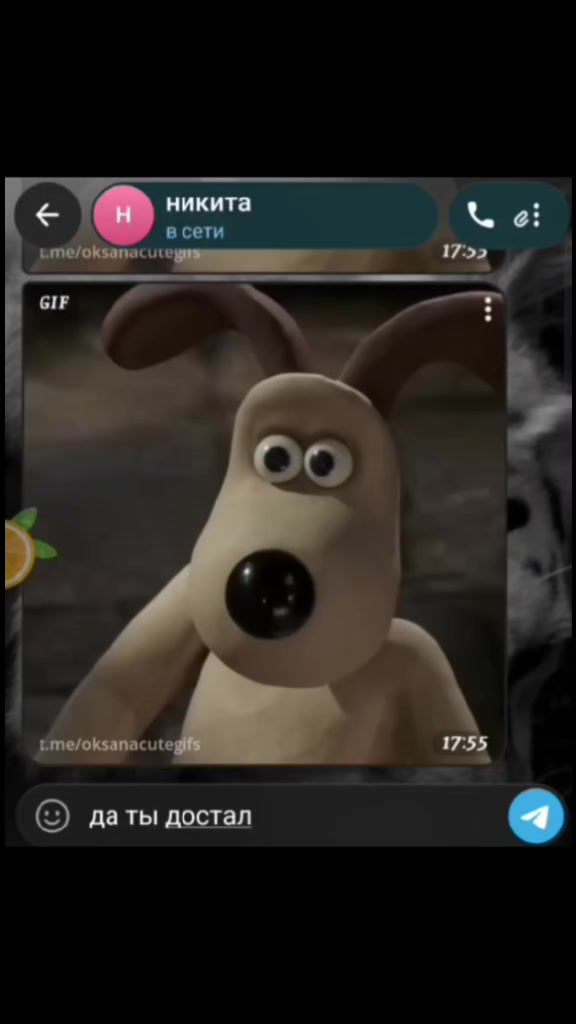 @Dino