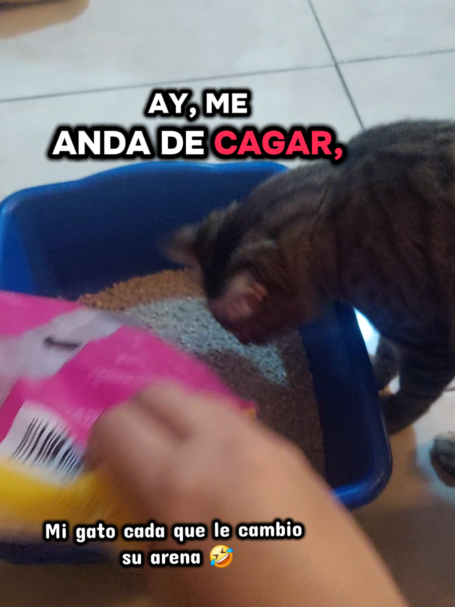 @gaby.arredondo.navarrete