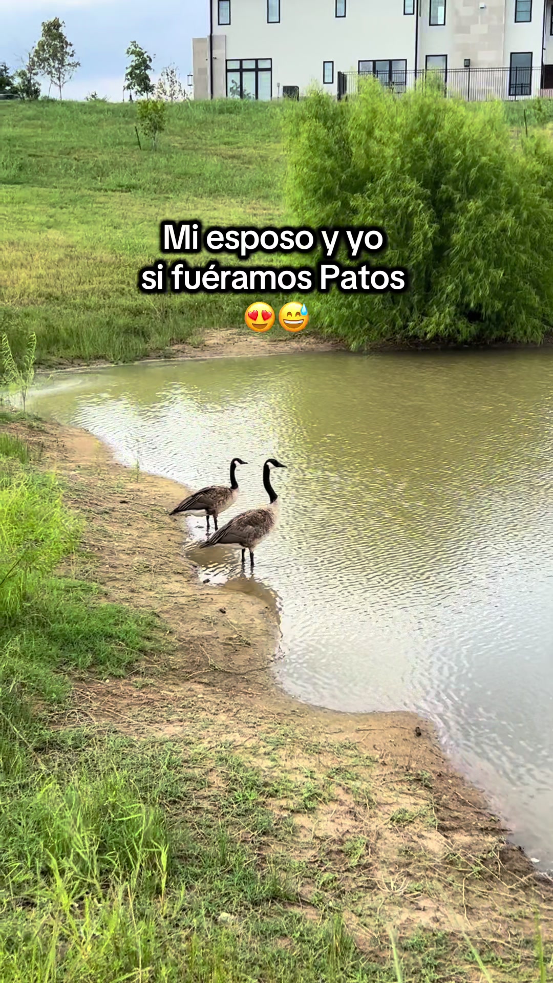@Erika🪻