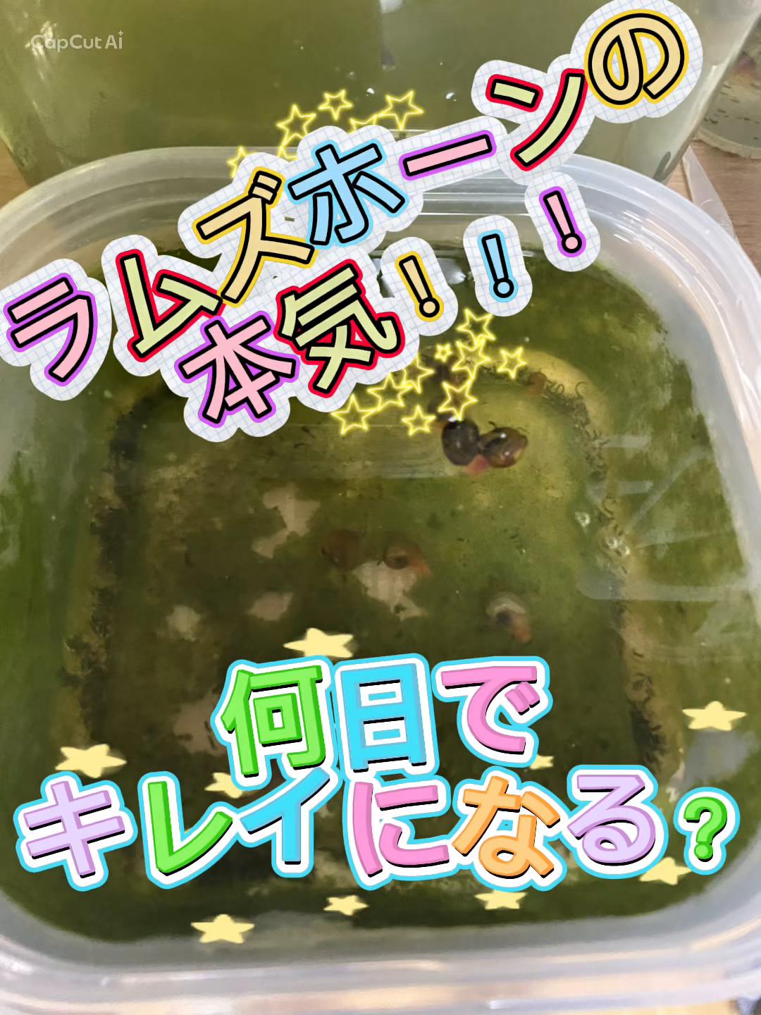 @AIMちゃん