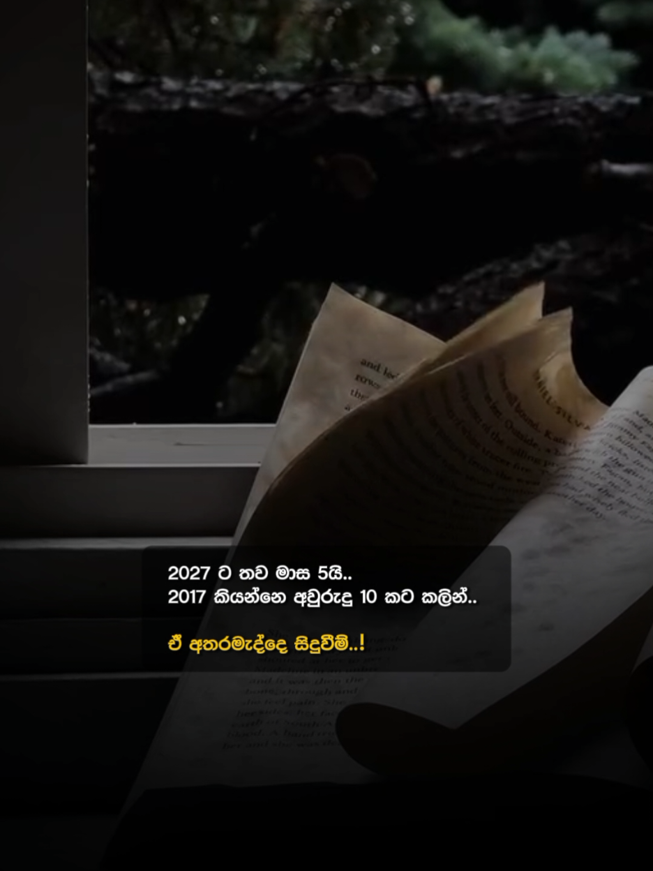 @Pouty 🇱🇰