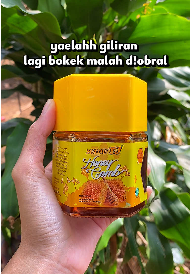 @Hayfaa
