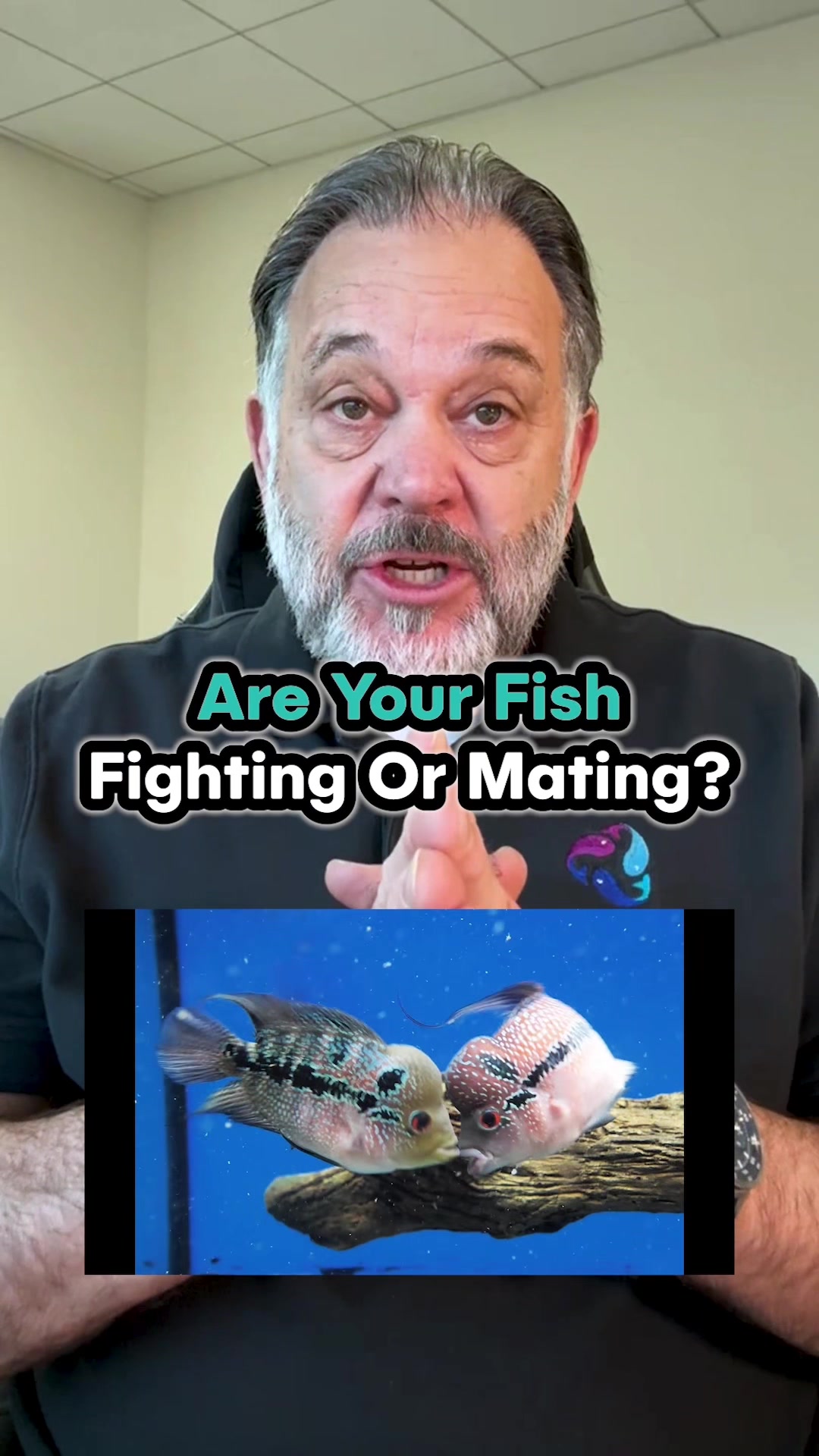 @DrTim