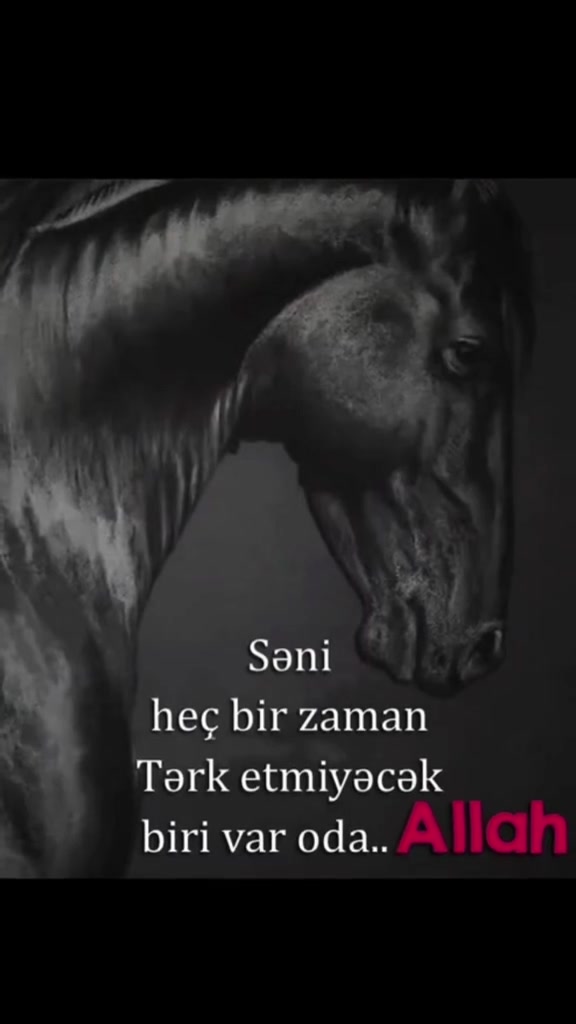 @Nur Şahgəldi