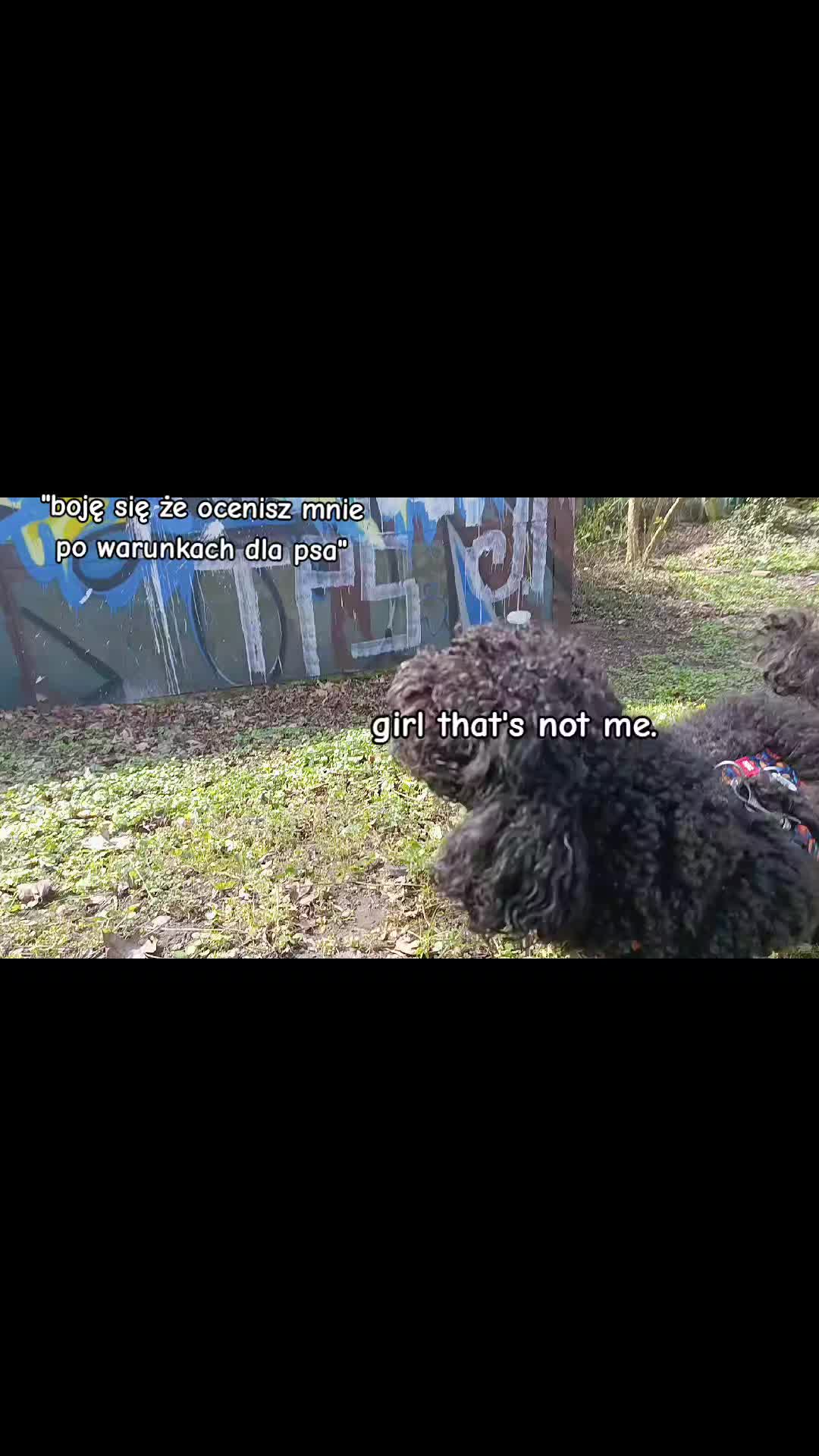 @🔥💯zvziaa_horse💯🔥