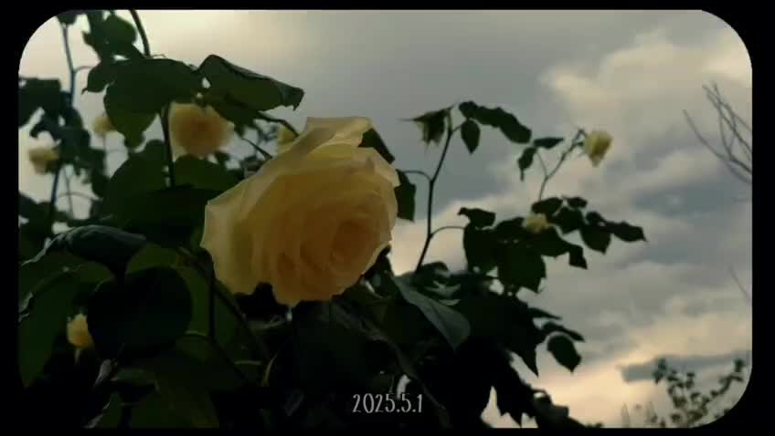 @⭐🍂NOor.