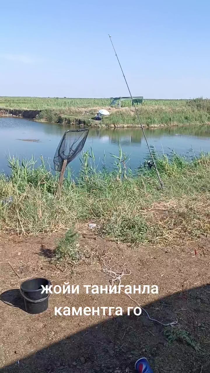 @uzfisher | Baliqovi |