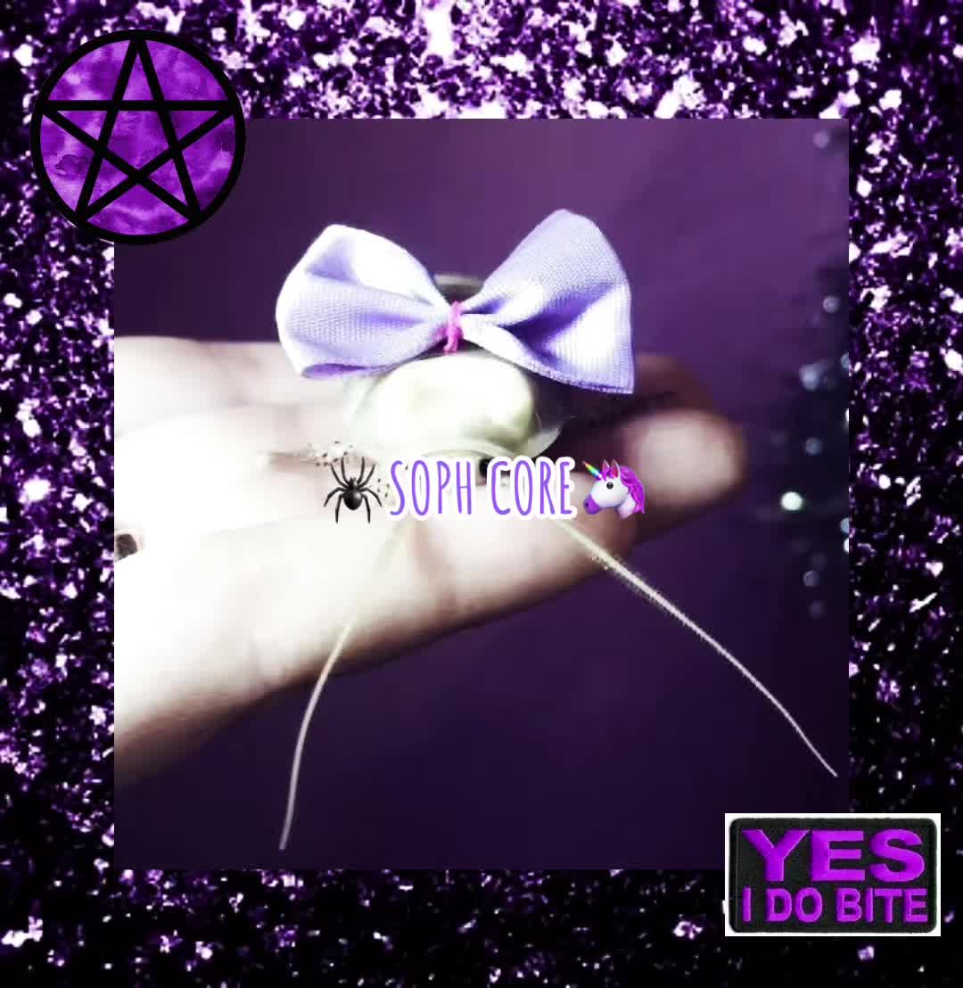 @💜 𝖘𝖔𝖕𝖍 🕸️