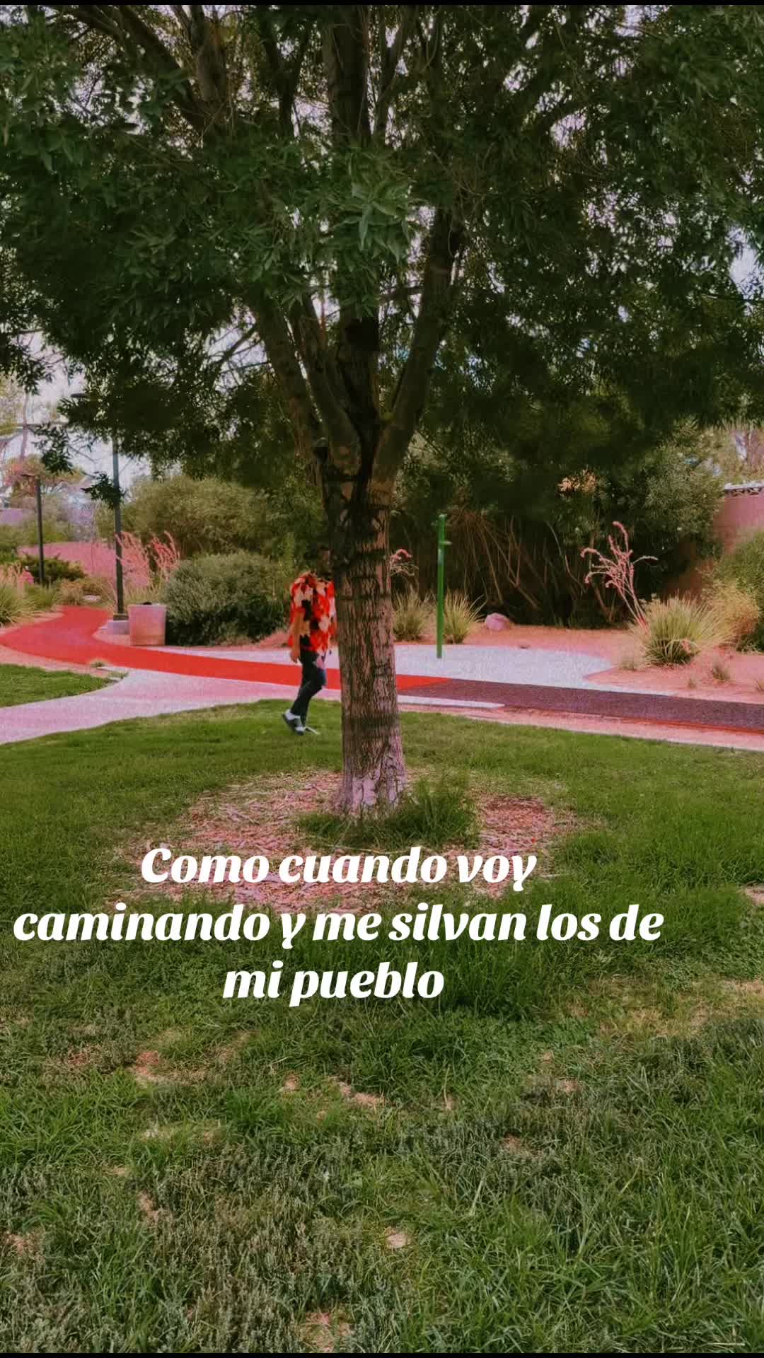 @Hansel De F&agrave;bregas