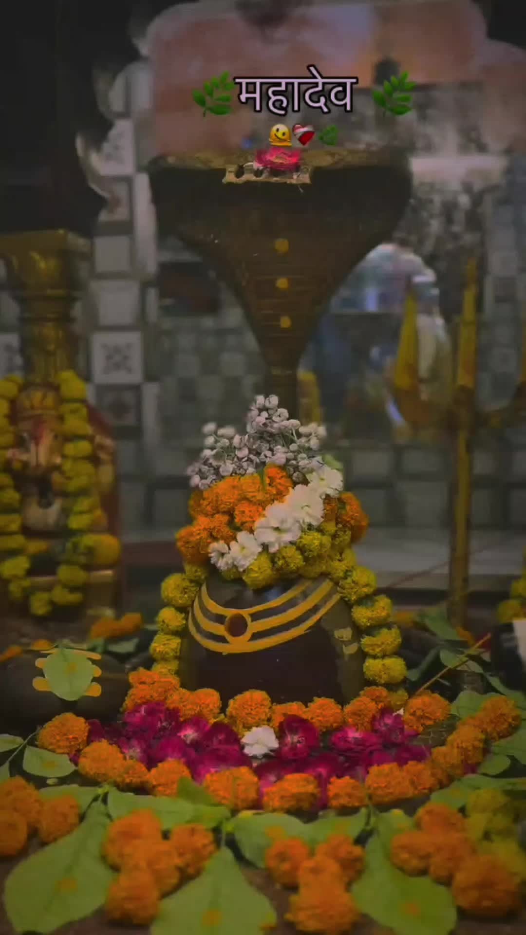 @✨❤️MAHADEV ka deewana 📿🙇🏻