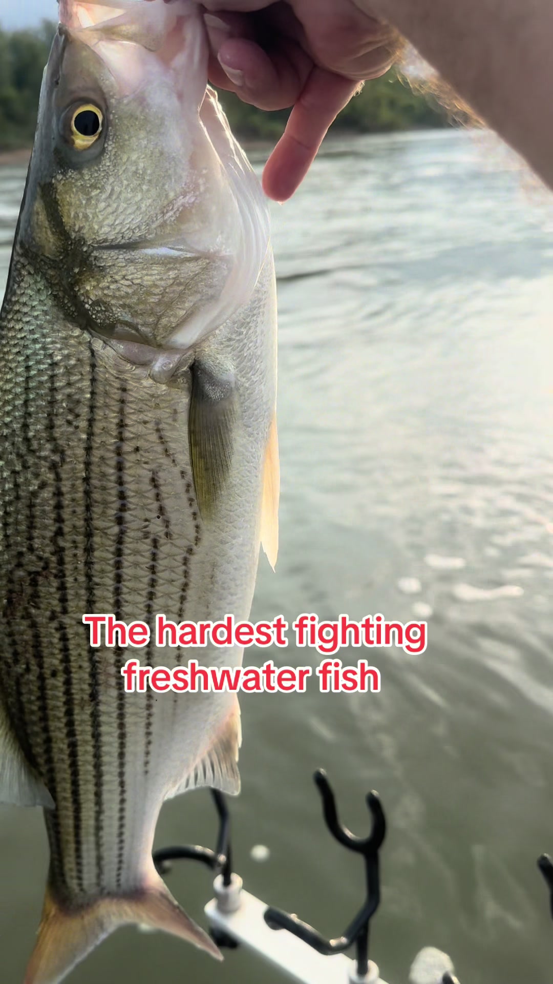 @Kentucky&ensp;Fishing