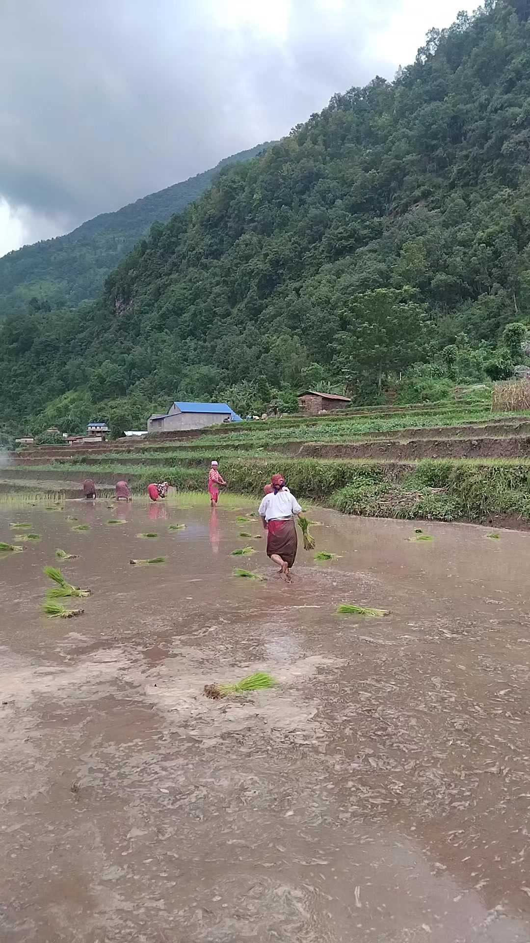 @Mina Kunwar