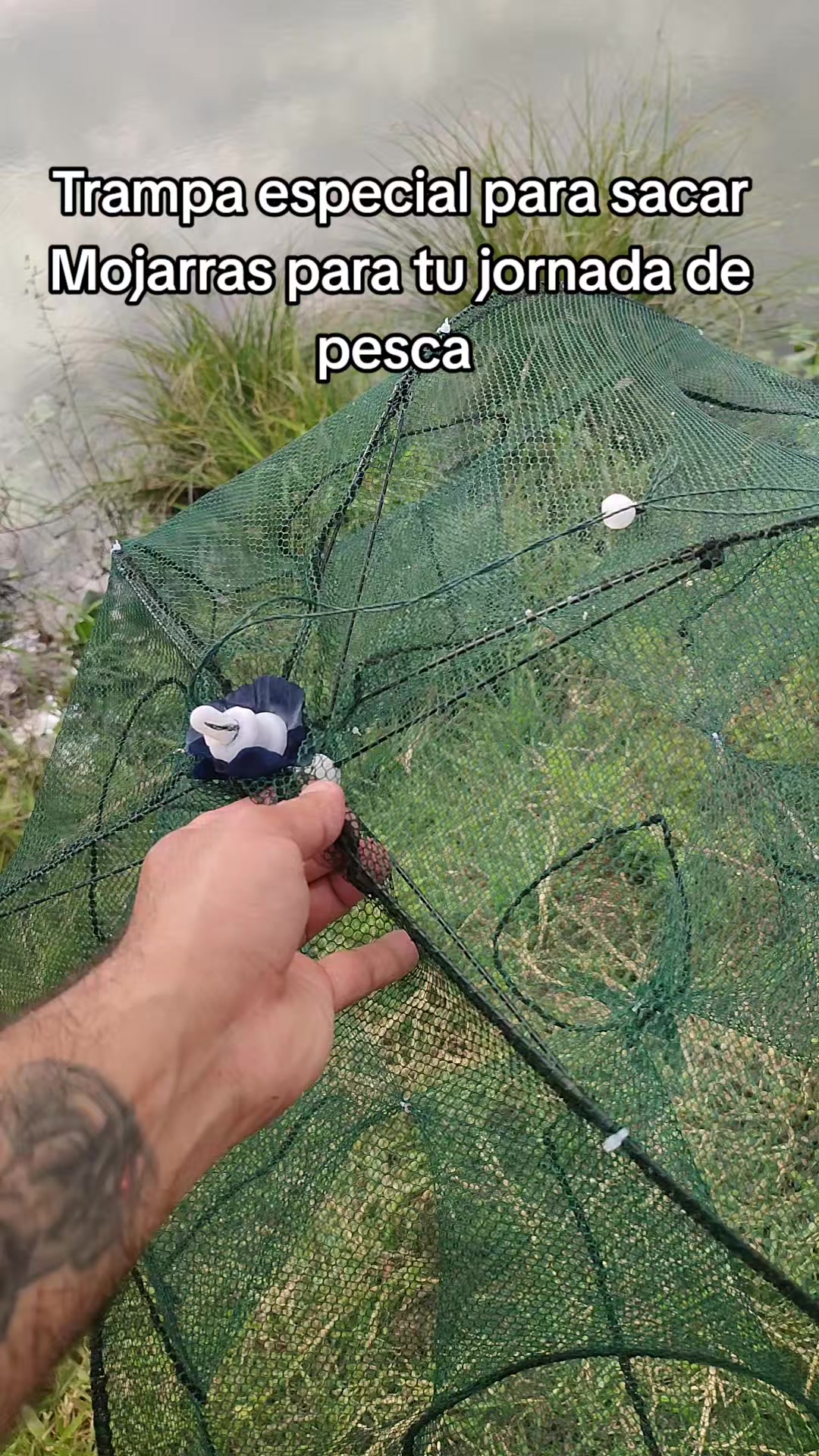 @AnzuelerosPy 🇳🇱🎣